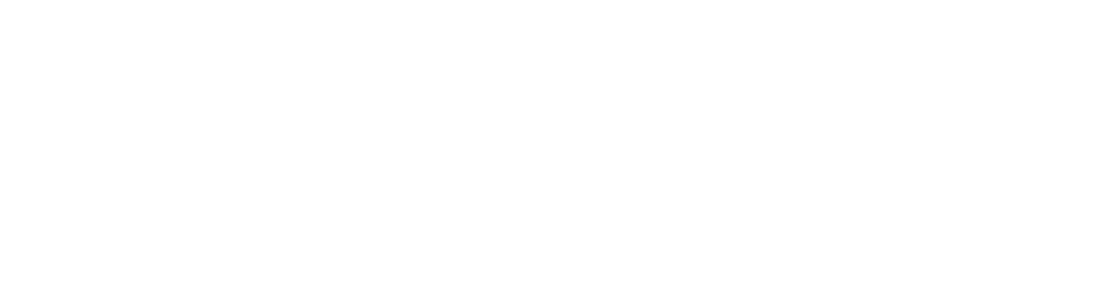 Visa Theory